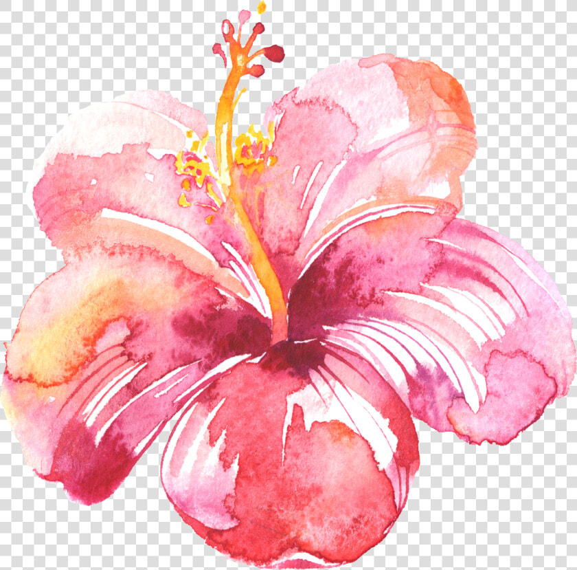 Transparent Watercolor Splotch Png   Hibiscus Flower In Pink Watercolor  Png DownloadTransparent PNG