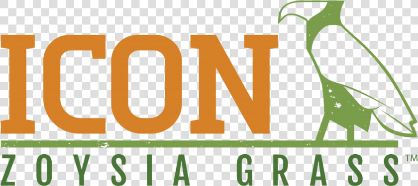 Icon Zoysia Grass   Graphic Design  HD Png DownloadTransparent PNG