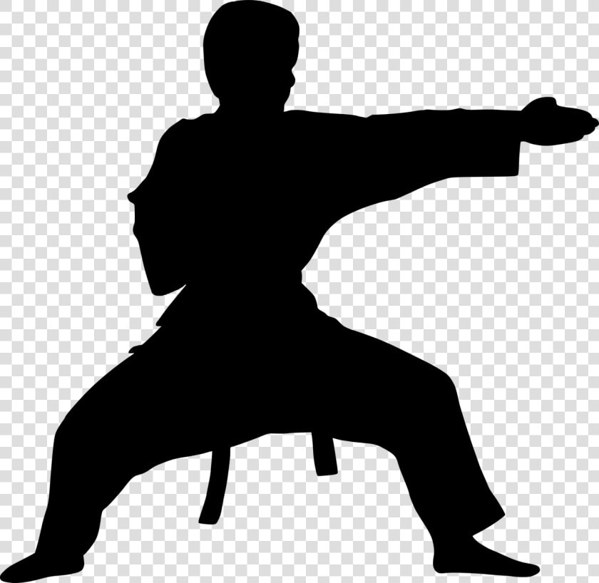 Silhouette  Karate  Fight  Strong  Kimono  Ready   Karate Fighter Silhouette  HD Png DownloadTransparent PNG