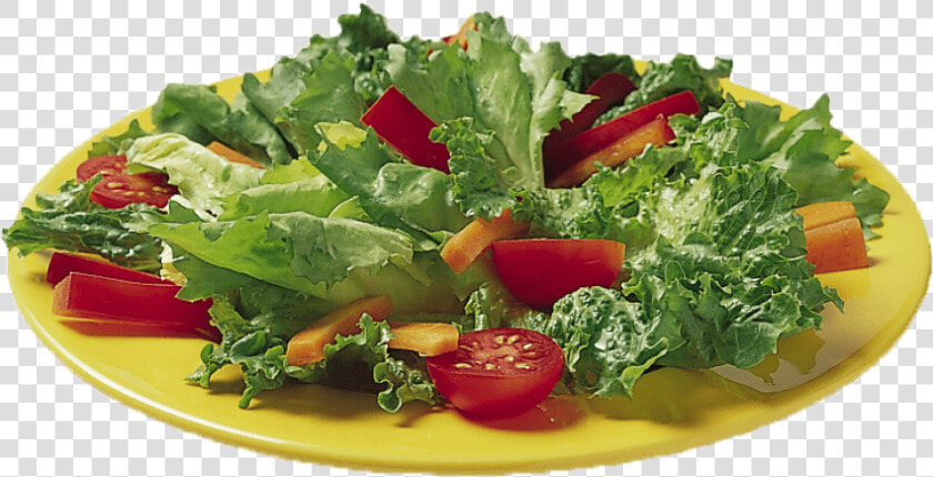 Free Png Vegetable Salad Png Png Images Transparent   Salad  Png DownloadTransparent PNG