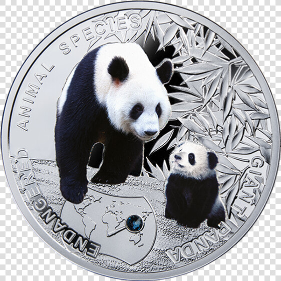 Niue 2014 1  Giant Panda   Animales En Peligro De Extincion Png  Transparent PngTransparent PNG