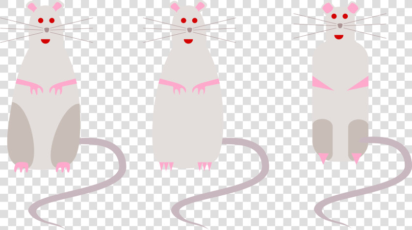 Rats  Mice  Rodents  Mouse  Rat  Rodent  Cartoon   Gambar Grub Tikus Hitam  HD Png DownloadTransparent PNG