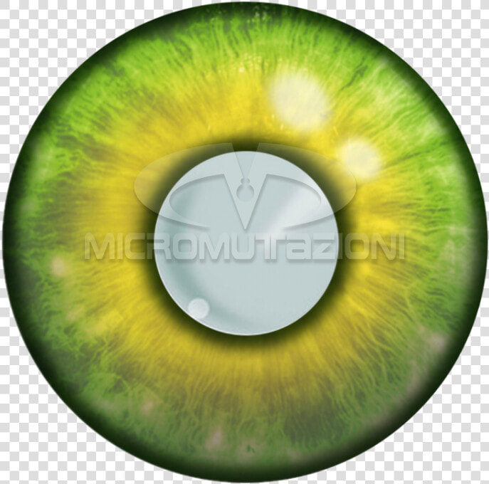 Contact Lenses For Fairytale  HD Png DownloadTransparent PNG