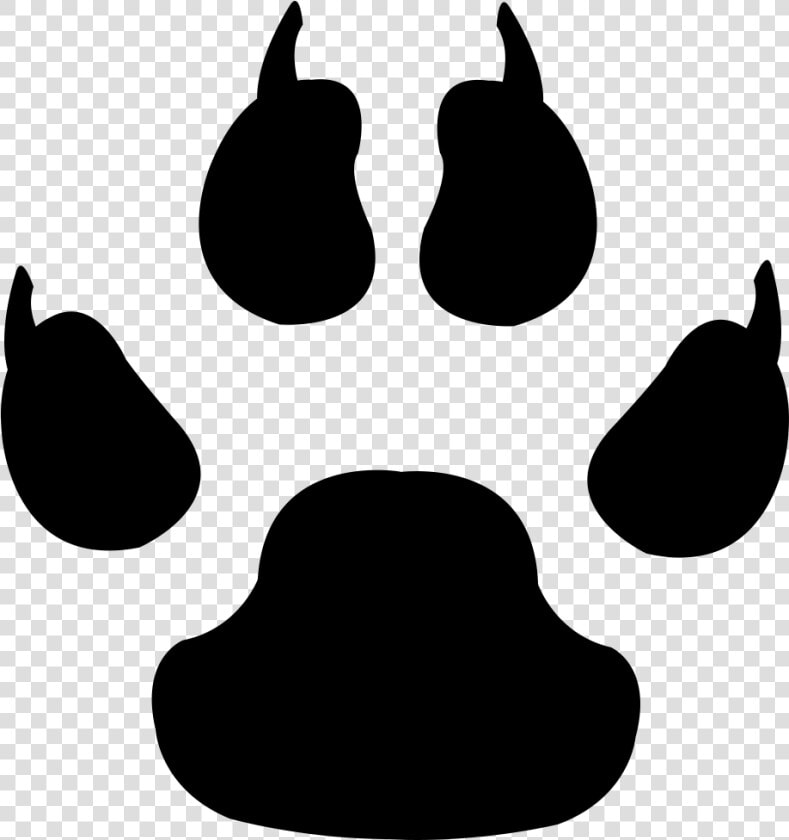 Tiger Leopard Coyote Cat Gray Wolf   Wolf Paw Print Vector  HD Png DownloadTransparent PNG