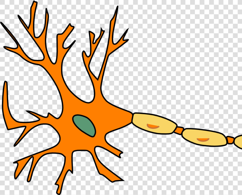 Multiple Sclerosis No Background  HD Png DownloadTransparent PNG