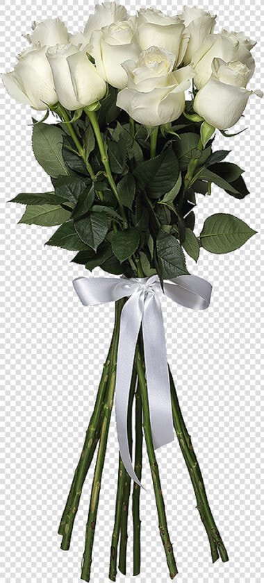 White Roses Png Hd Images   3 White Roses Png  Transparent PngTransparent PNG