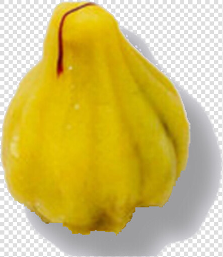 Gourd  HD Png DownloadTransparent PNG