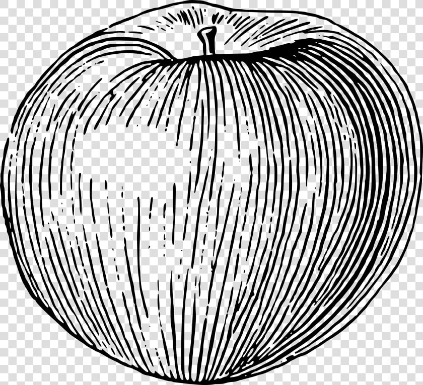 Drawing Apple Big   Apple Line Drawing Png  Transparent PngTransparent PNG