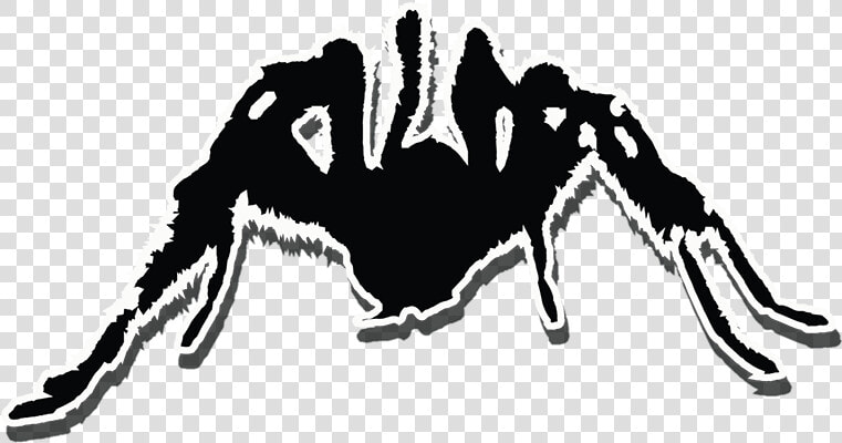 Tarantula  HD Png DownloadTransparent PNG