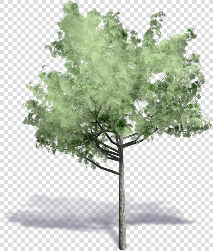 Axonometric Projection Autodesk Tree Archicad   Trees In Axonometric Png  Transparent PngTransparent PNG