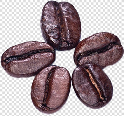 Cocoa bean   Coffee Bean Png  Transparent PngTransparent PNG