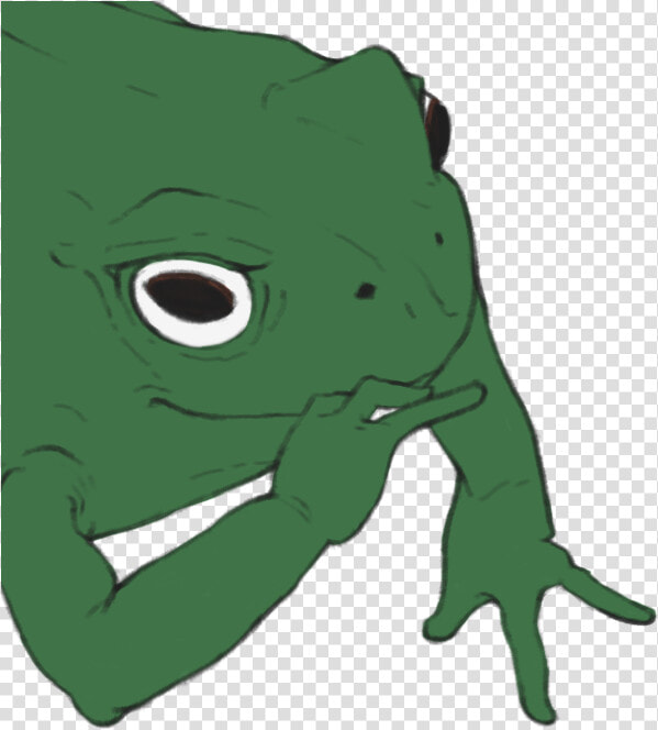 Green Toad Amphibian Frog Vertebrate Tree Frog Fauna  HD Png DownloadTransparent PNG