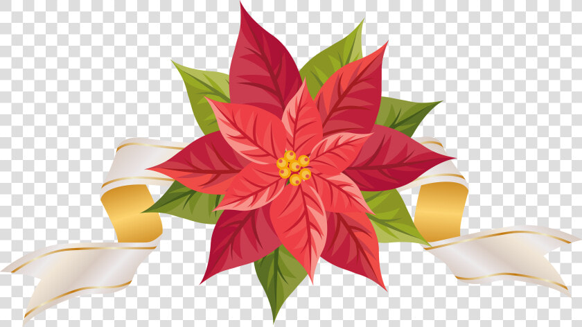 Poinsettia With Ribbon Png Clipart Image   Christmas Poinsettia Border Clip Art Free  Transparent PngTransparent PNG