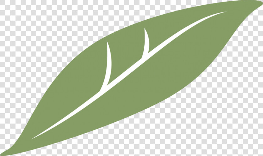 Clementine Global   Bay Laurel  HD Png DownloadTransparent PNG