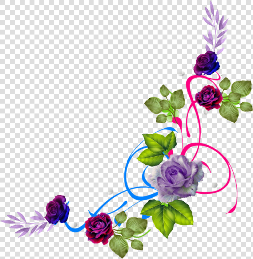  corner  border   flower  roses  swirls  freetoedit   Garden Roses  HD Png DownloadTransparent PNG