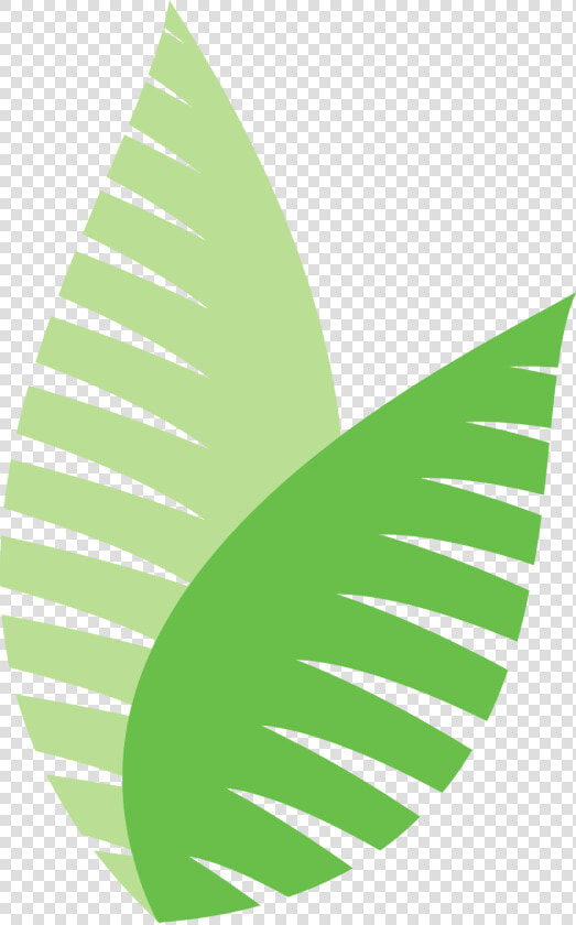 Ecodesign Pflanze Farn   Graphic Design  HD Png DownloadTransparent PNG