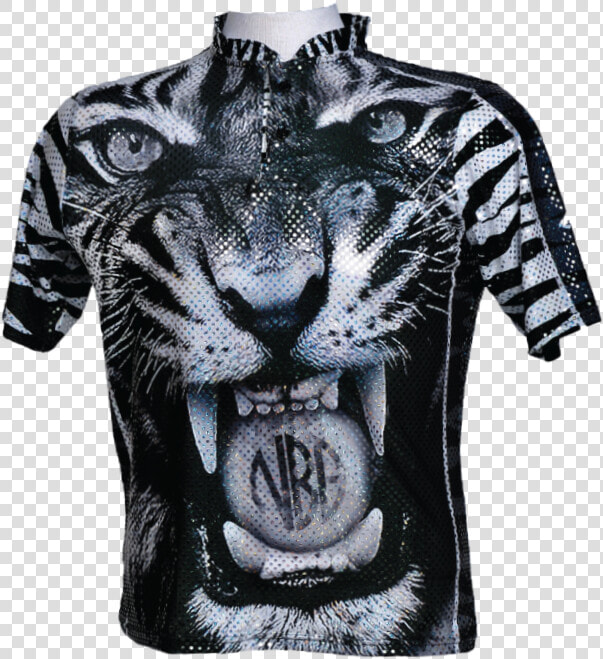 Transparent Tiger Roar Png   Siberian Tiger  Png DownloadTransparent PNG