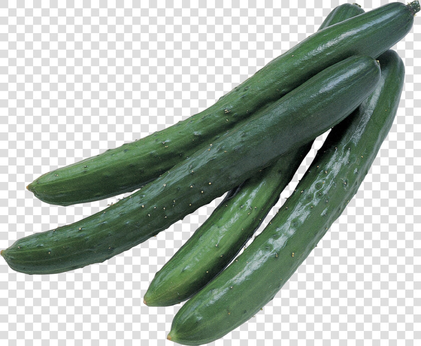 Grab And Download Cucumber In Png   Cucumber Pickle Transparent  Png DownloadTransparent PNG