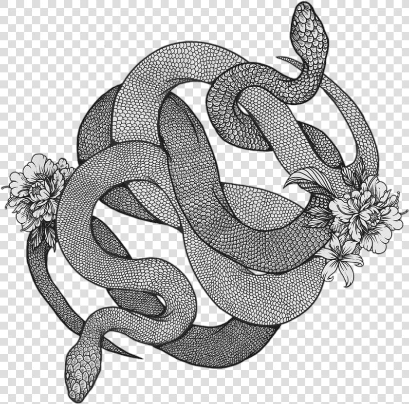  tumblr  sneak  tatto   Serpent  HD Png DownloadTransparent PNG