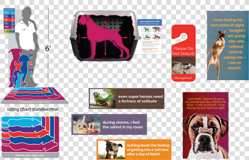 The Exercise Was Such A Success That Petsmart Asked   Boxer  HD Png DownloadTransparent PNG