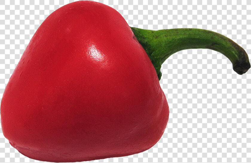 Habanero Chili  HD Png DownloadTransparent PNG