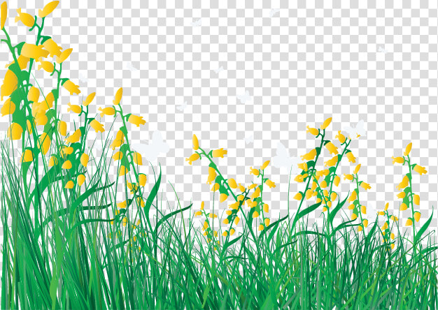 Lawn Vector Grass Flower   Cartoon Flowers And Grass  HD Png DownloadTransparent PNG