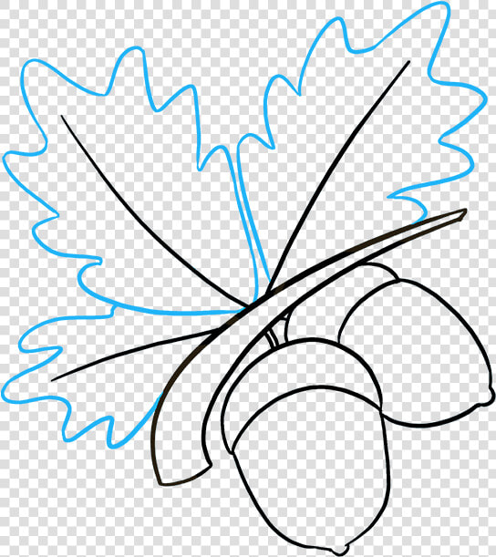 How To Draw Acorns   Line Art  HD Png DownloadTransparent PNG