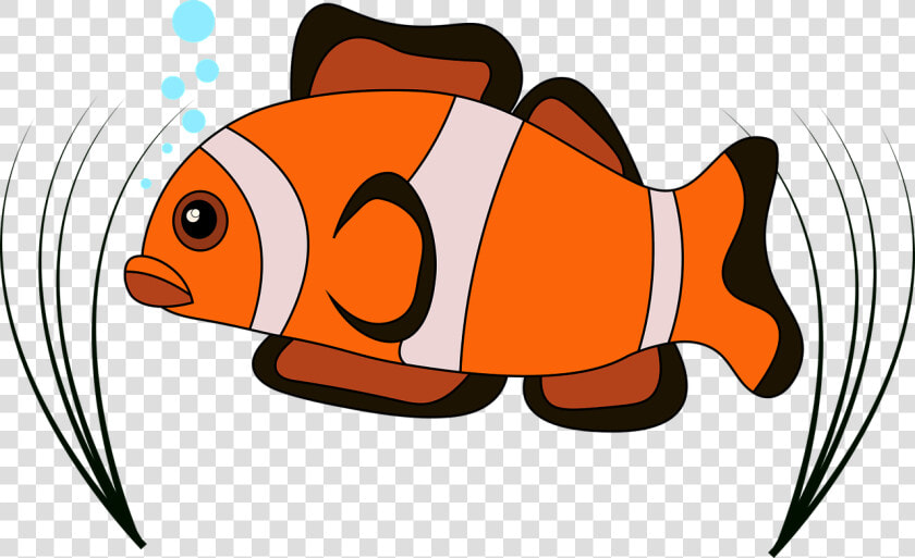 Clown Fish Vector Clown Free Photo   ปลา การ์ตูน Png  Transparent PngTransparent PNG