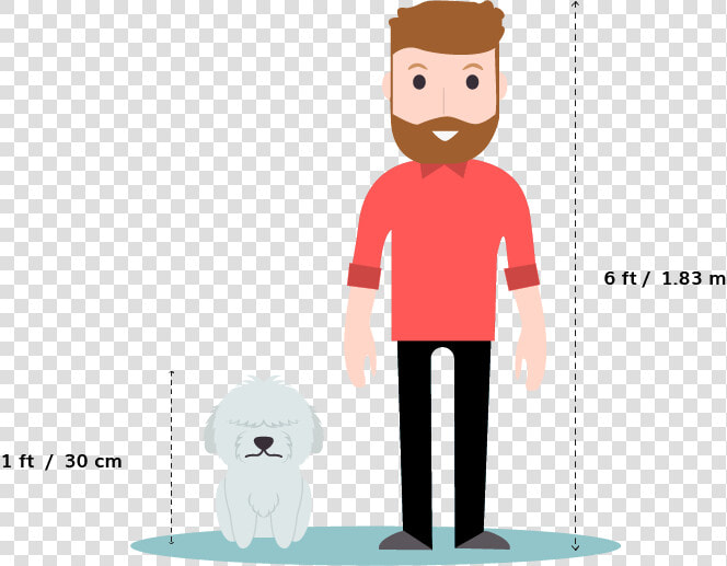 Husky Size Comparison  HD Png DownloadTransparent PNG