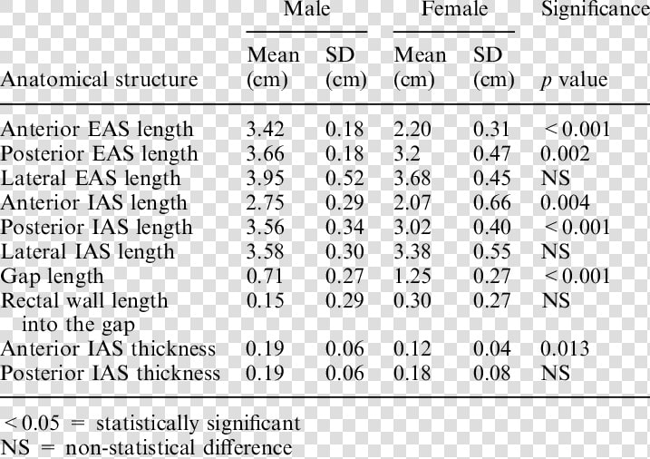 Male And Female Anus Differences  HD Png DownloadTransparent PNG