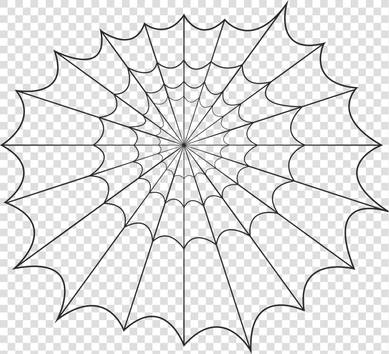 Spider  Web  Halloween  Spooky  Horror  Bug  Insect  HD Png DownloadTransparent PNG