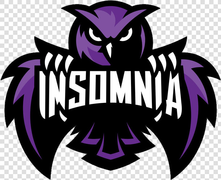 Owl Purple Global Offensive Sports Counterstrike Electronic   Insomnia Esports  HD Png DownloadTransparent PNG