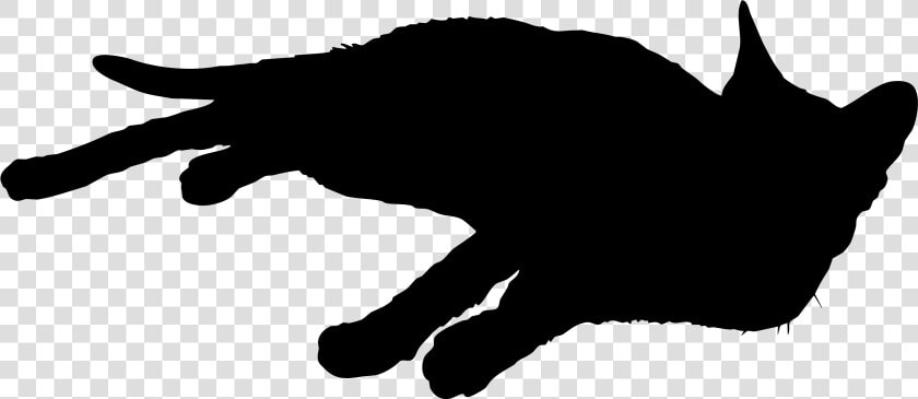 Black Cat Whiskers Silhouette Sticker   Cat  HD Png DownloadTransparent PNG