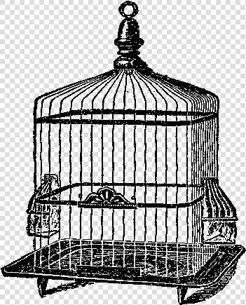 Birdcage  HD Png DownloadTransparent PNG