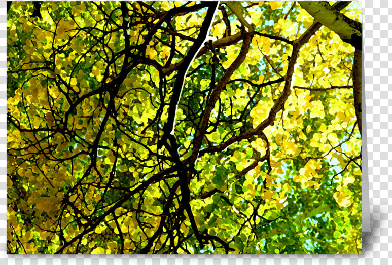 Aspen Gold Greeting Card   Stained Glass  HD Png DownloadTransparent PNG