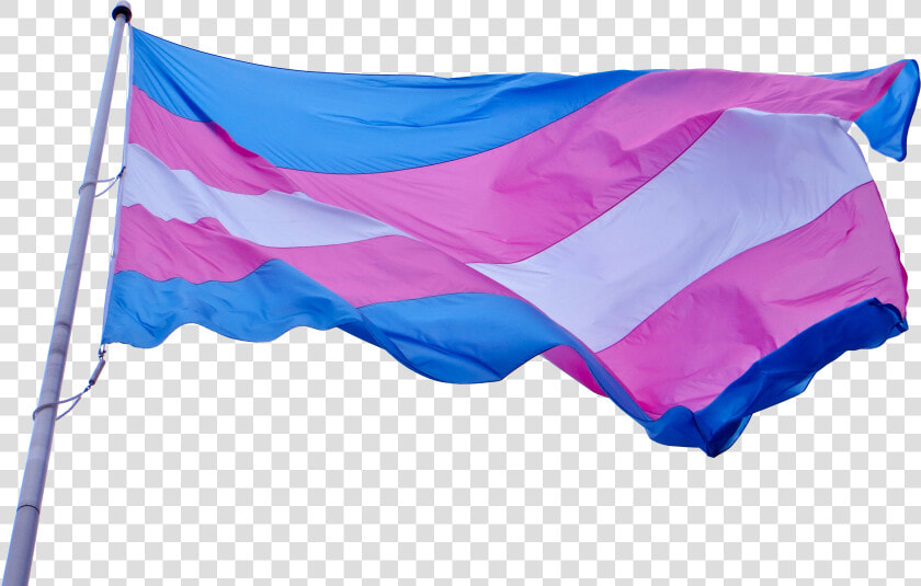 Npp National Progress Party Flag 11   Waving Transgender Flag Gif  HD Png DownloadTransparent PNG