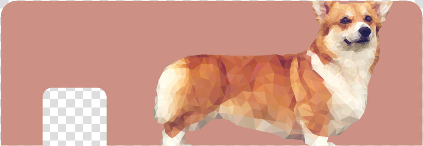 Pembroke Welsh Corgi  HD Png DownloadTransparent PNG