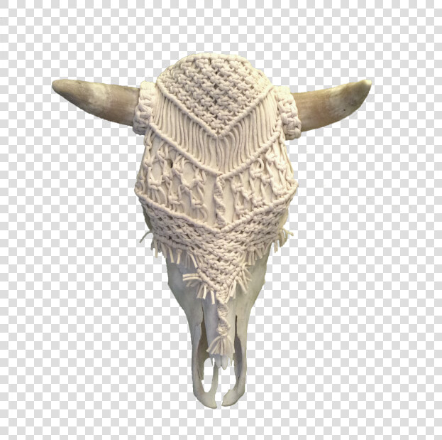 Transparent Metal Skull Png   Armadillo  Png DownloadTransparent PNG