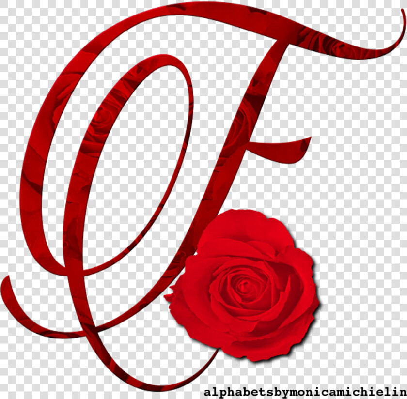 Rosas Vermelhas Png Transparente  Png DownloadTransparent PNG