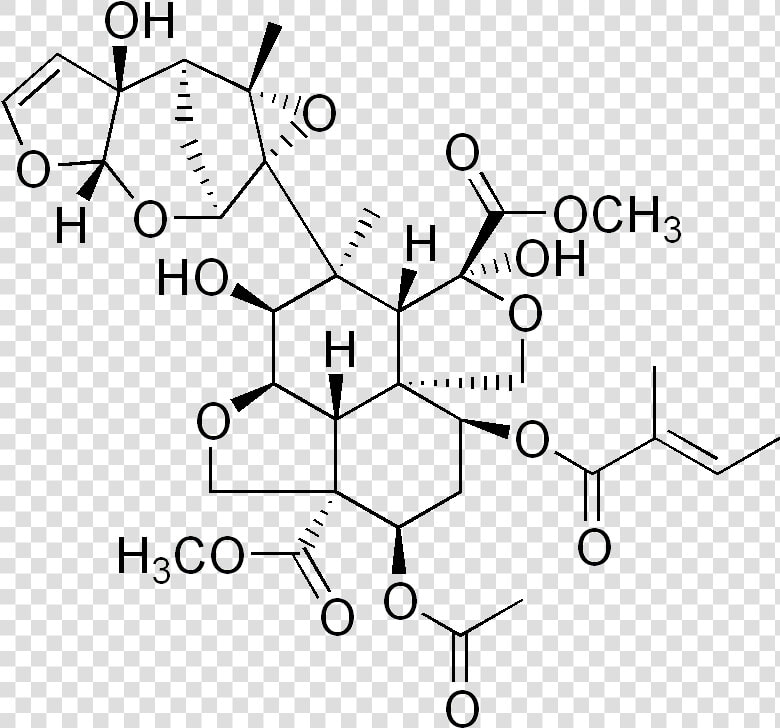 Azadirachtin   Azadirachta Indica Chemical Structure  HD Png DownloadTransparent PNG