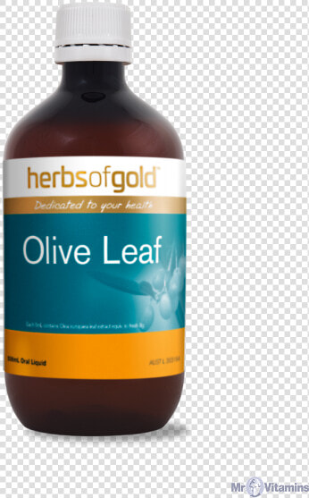 Herbs Of Gold Olive Leaf 500ml   Bottle  HD Png DownloadTransparent PNG