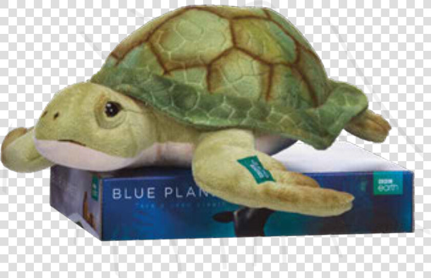 Bbc Blue Planet Turtle 30cm   Kemp  39 s Ridley Sea Turtle  HD Png DownloadTransparent PNG