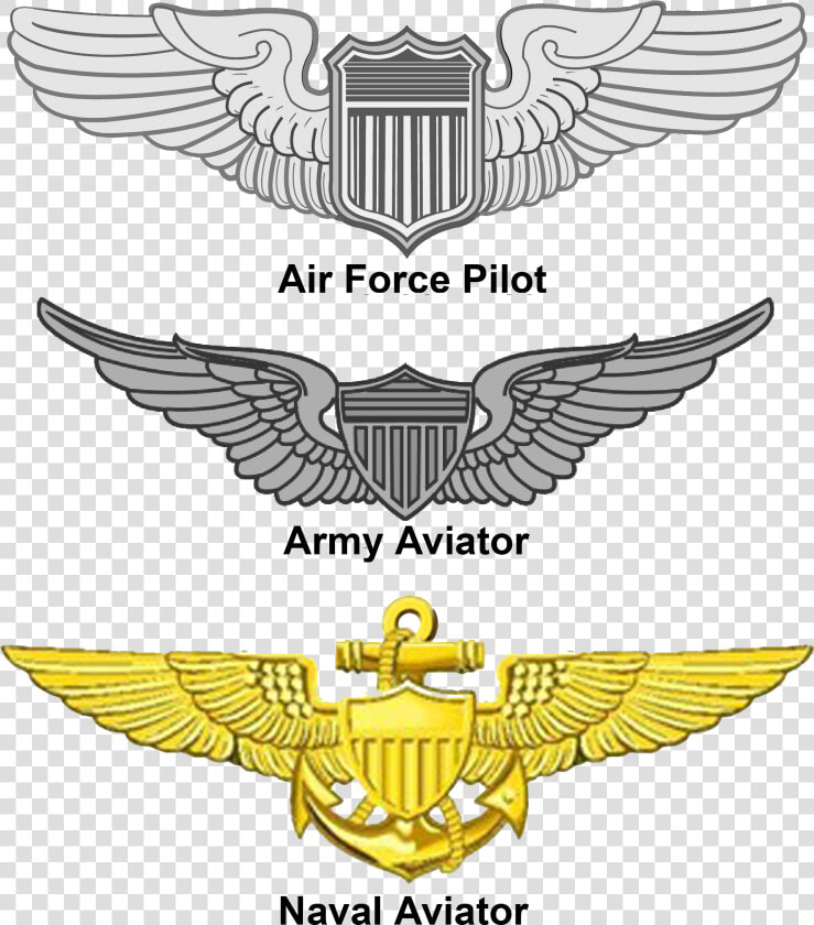 United States Aviator Badge   Aviator Badge  HD Png DownloadTransparent PNG