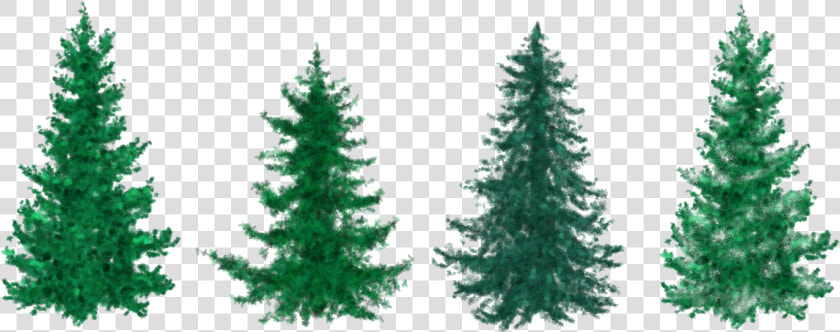 Fir Tree Clipart Group Tree   Fir Christmas Tree Clipart  HD Png DownloadTransparent PNG