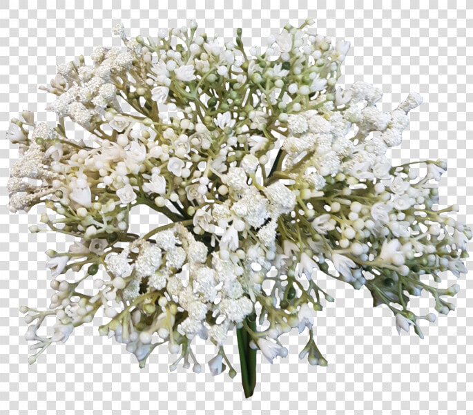 Baby Breath Flower Png   Png Download   Baby Breath Flower Png  Transparent PngTransparent PNG