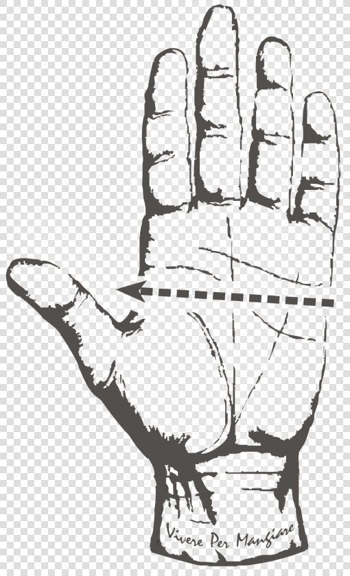 3palms Hand   Palm Reading Guide  HD Png DownloadTransparent PNG