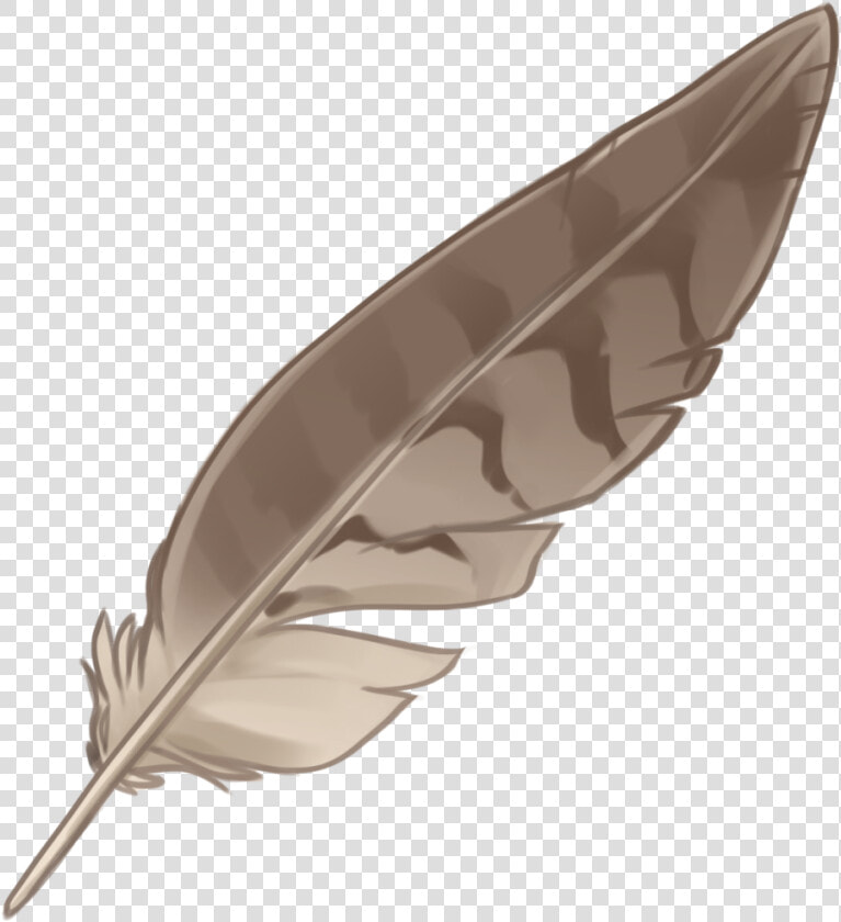 Eagle Feather Law Portable Network Graphics Native   Native American Feathers With Transparent Background  HD Png DownloadTransparent PNG