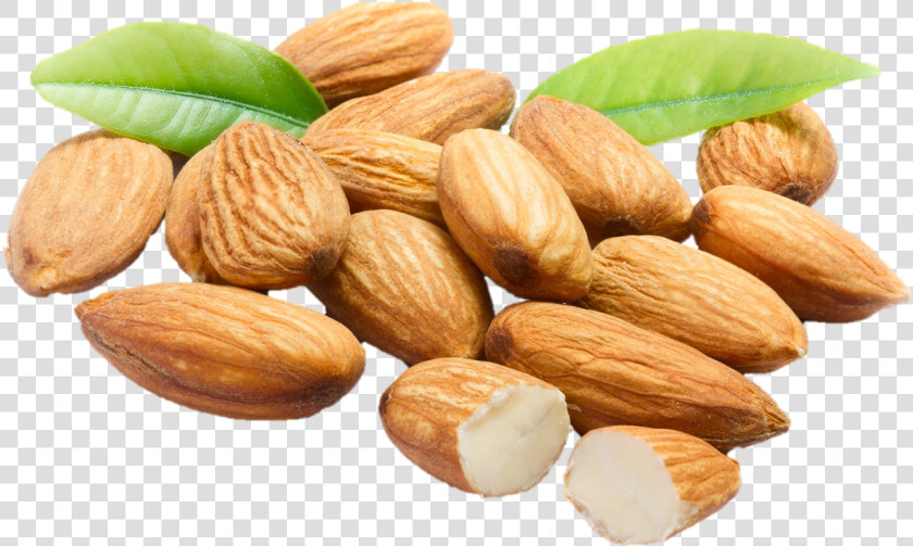 Almonds Png   Png Download   Almond Png  Transparent PngTransparent PNG