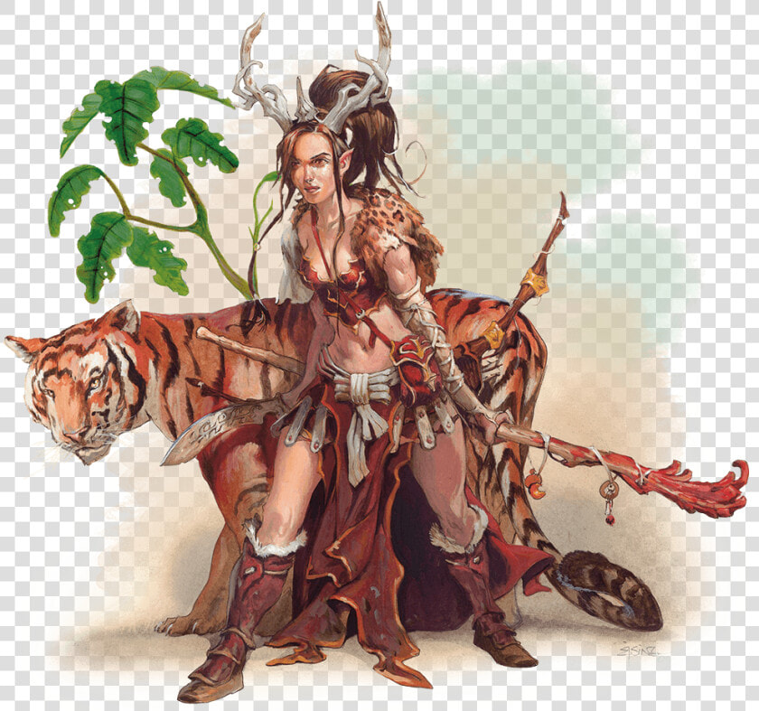 Druid Leather Armor 5e  HD Png DownloadTransparent PNG