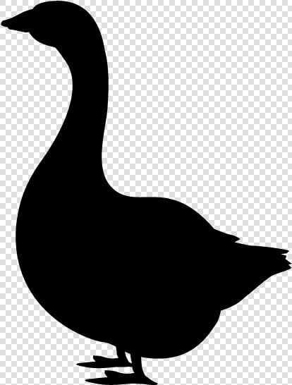 Domestic Duck Silhouette Goose Clip Art   あひる シルエット イラスト  HD Png DownloadTransparent PNG